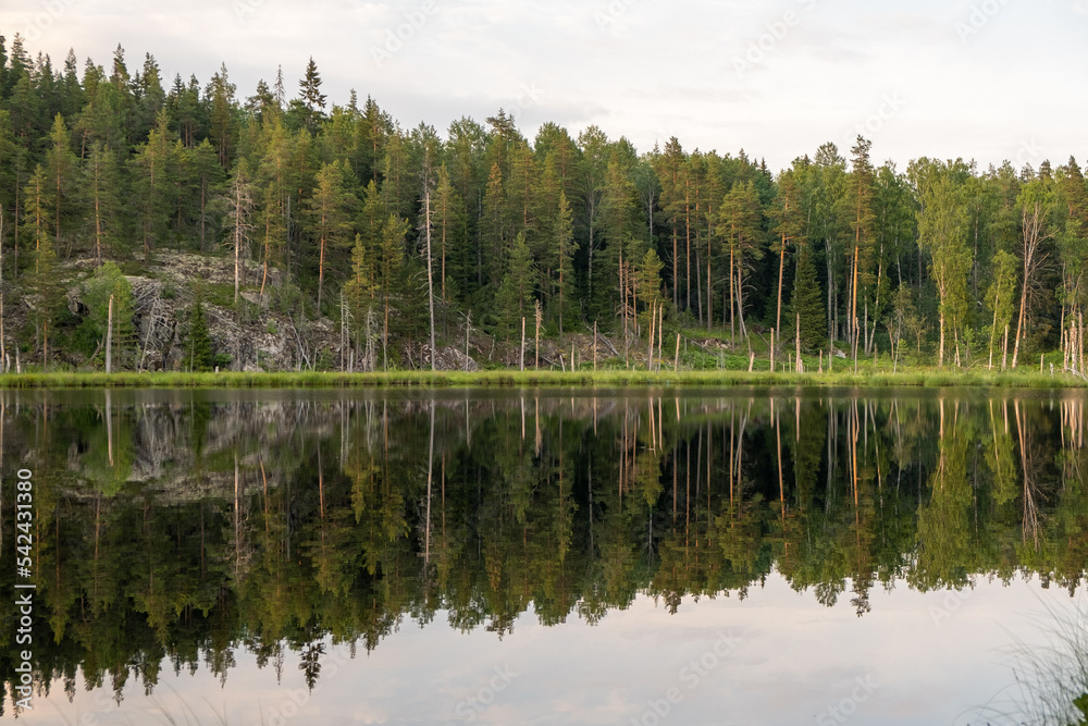 Ladoga lake. Panorama of the Republic of Karelia. Northern nature of Russia