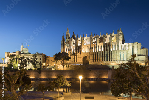 Catedral de Palma de Mallorca y Palacio de La Almudaina de noche vistas desde el Parque del Mar. Foto nocturna. Mallorca, Islas Baleares, España.