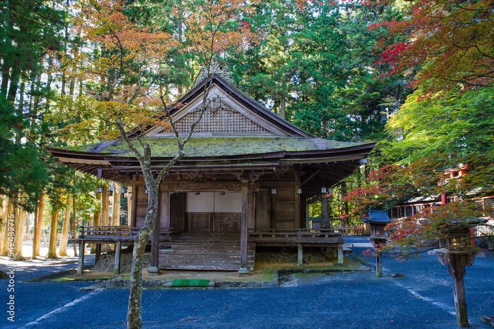 高野山の紅葉