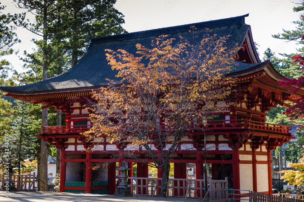 高野山の紅葉