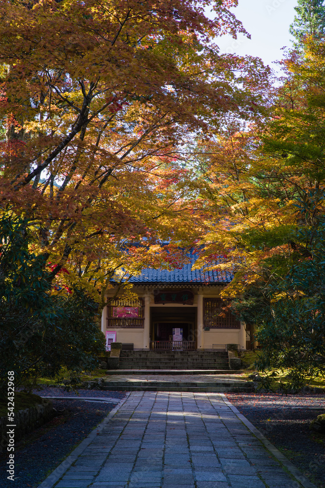 高野山の紅葉