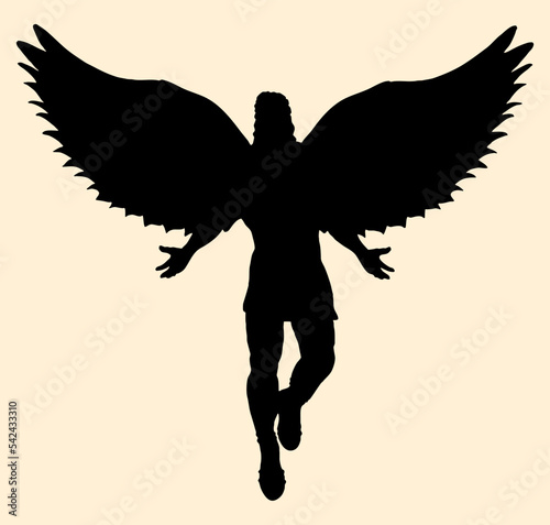 Silhouette of an angel flying in the sky