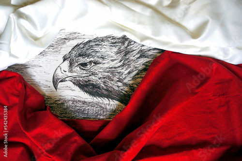 Flaga Polski. Rysunek orła otoczony białą i czerwoną tkaniną