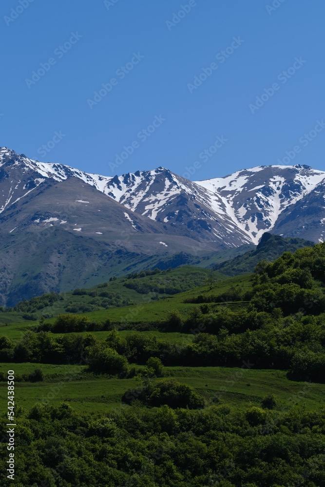 Beautiful vertical shot of vast green hills and mountains in the countryside under a bright blue sky