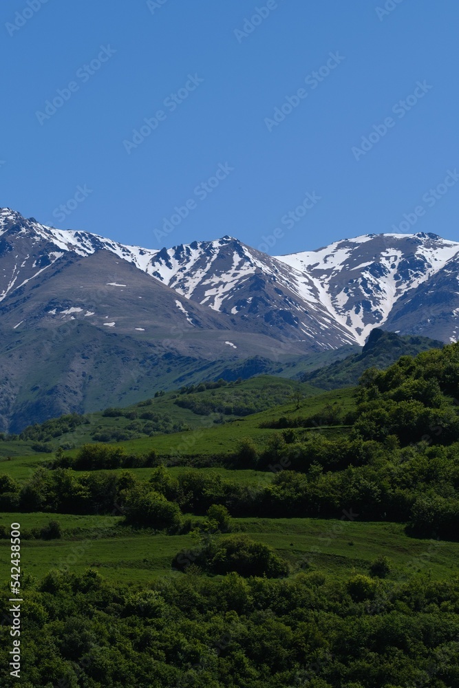 Beautiful vertical shot of vast green hills and mountains in the countryside under a bright blue sky Beautiful vertical shot of vast green hills and mountains in the countryside under a bright blue sky
