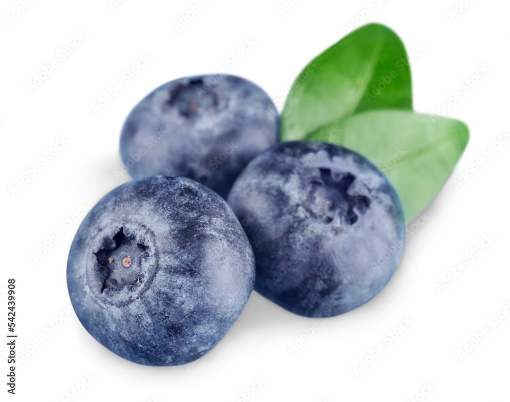 Obraz premium Blueberries isolated on white background. Clipping path