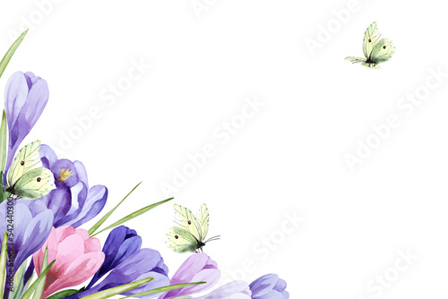 Corner frame of fantasy purple and pink crocus flowers with leaves and yellow lemongrass butterflies isolated on a white background. Hand drawn watercolor. Copy space.