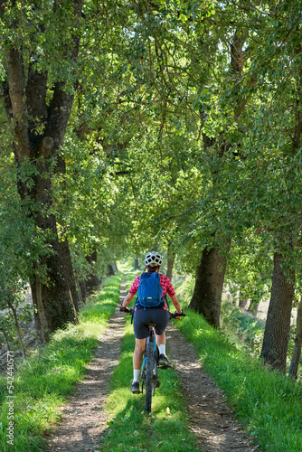 nice senior woman riding her electric mountain bike in an old  oak tree avenue in the Casentino area near Arezzo,Tuscany , Italy  © Uwe