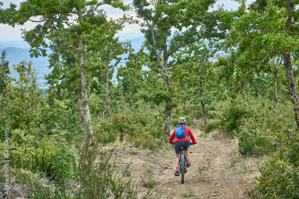 nice senior woman riding her electric mountain bike on a rough rocky trail between old oak trees in the Casentino mountains near Arezzo,Tuscany , Italy