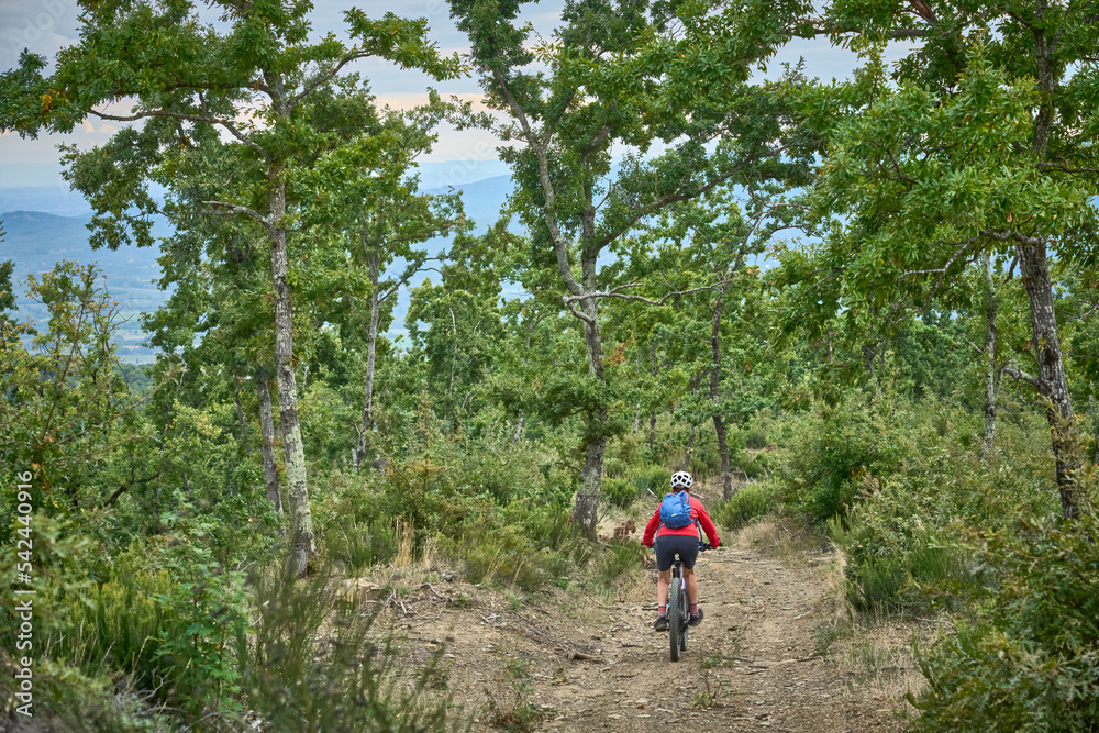 nice senior woman riding her electric mountain bike on a rough rocky trail between old oak trees in the Casentino mountains near Arezzo,Tuscany , Italy