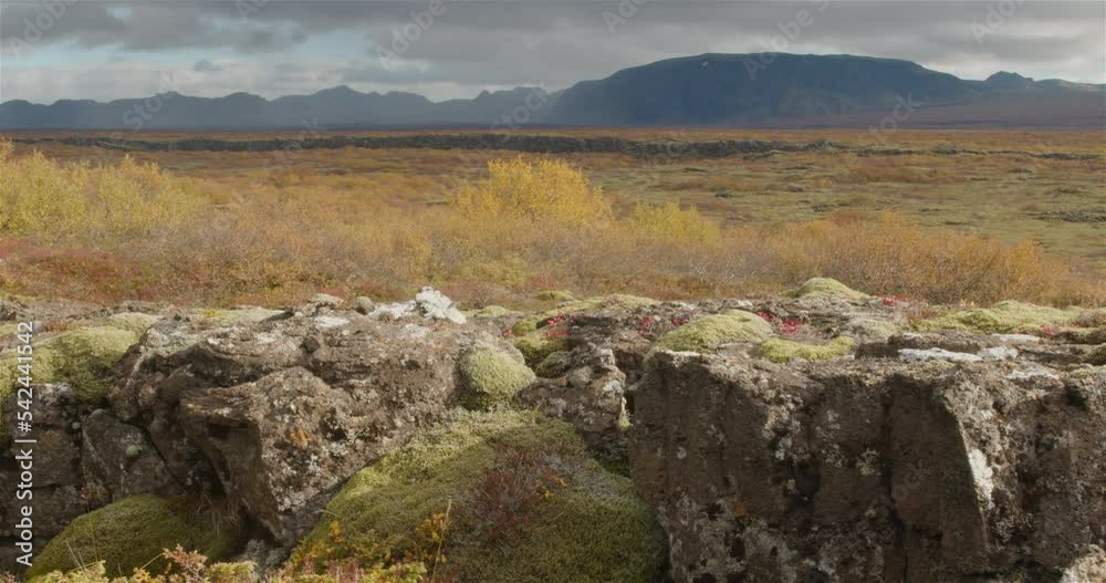 Thingvellir park Iceland in autumn low ground sliding Thingvellir park Iceland in autumn low ground sliding