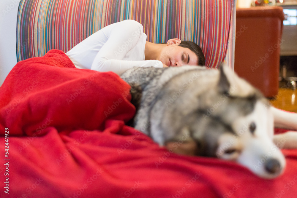 Young woman sleeping on the sofa with her pet husky dog