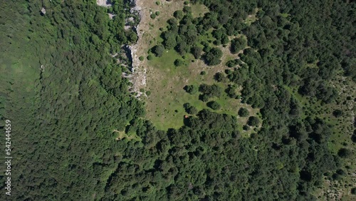 Wallpaper Mural Drone flight over the forest of Lazar's canyon. Torontodigital.ca