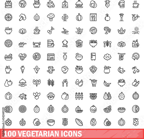 100 vegetarian icons set. Outline illustration of 100 vegetarian icons vector set isolated on white background