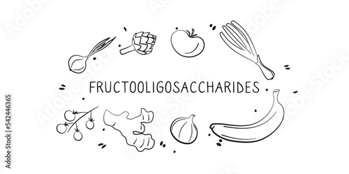 Fructooligosaccharides-containing food. Groups of healthy products containing vitamins and minerals. Set of fruits, vegetables, meats, fish and dairy.