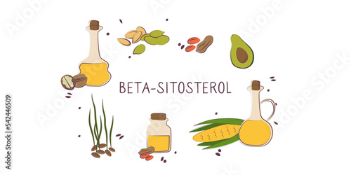 Beta-sitosterol-containing food. Groups of healthy products containing vitamins and minerals. Set of fruits, vegetables, meats, fish and dairy photo