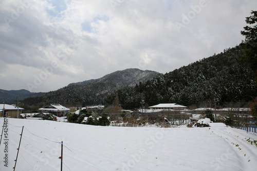 雪の積もった大原の風景 © ykimura65