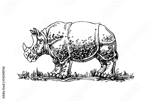 Armored rhinoceros. Vector illustration with black ink lines isolated on a white background in a hand drawn style.