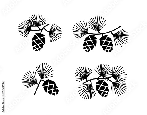 Cedar or pine cones on branches with needles. Vector black illustrations set isolated on white background.