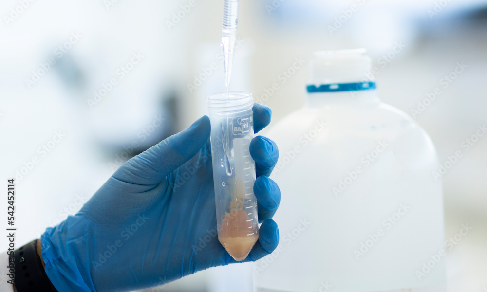 medicine, medical, cell culture and biology laboratory photo medicine, medical, cell culture and biology laboratory photo