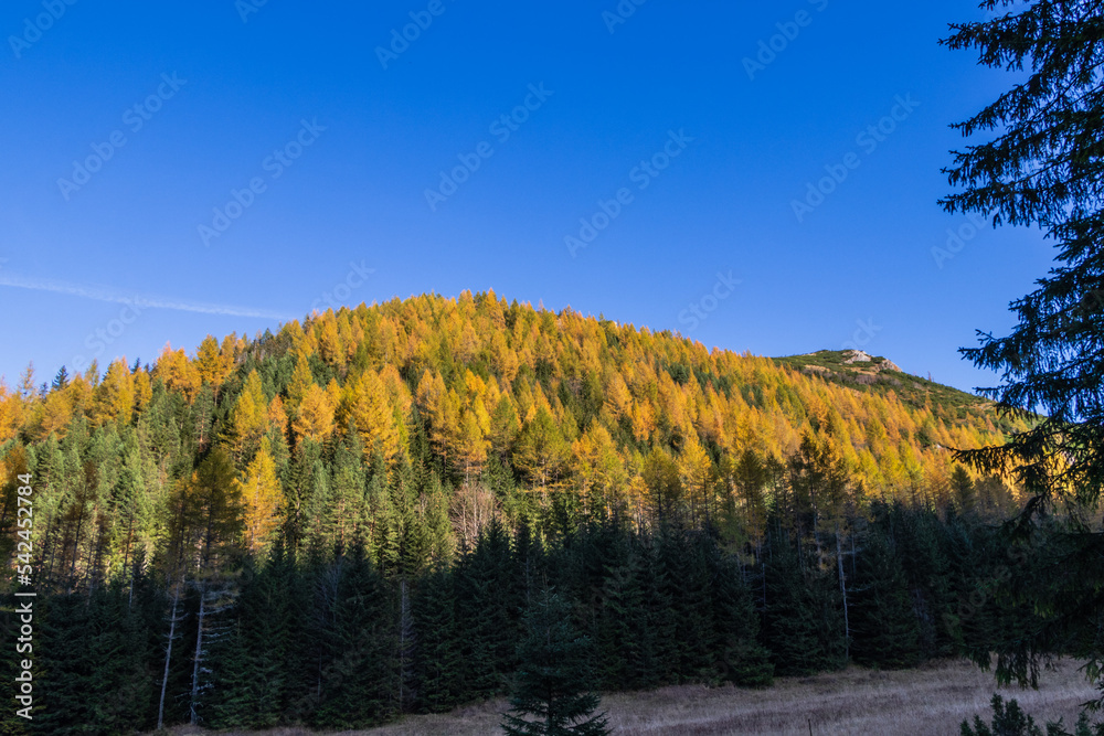 krajobraz jesienny w górach Tatry kolory jesieni