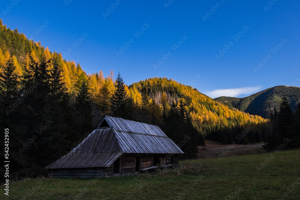 szałas pasterski w górach krajobraz jesienny kolory Tatry
