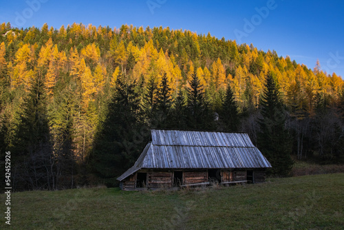 Obraz na płótnie szałas pasterski w górach krajobraz jesienny kolory Tatry w salonie