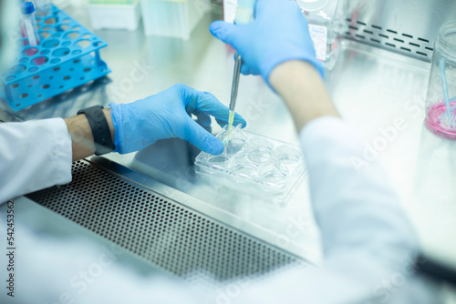 medicine, medical, cell culture and biology laboratory photo