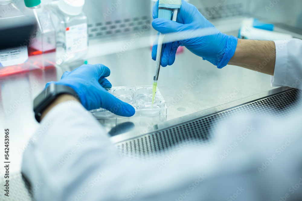 medical, medicine and cell culture laboratory medical, medicine and cell culture laboratory