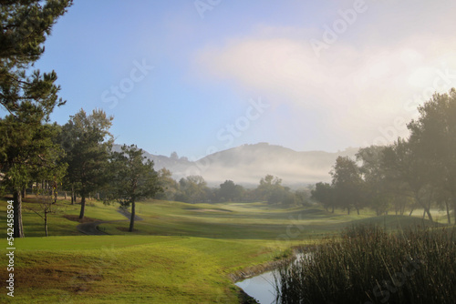 Twin Oaks Golf Course Fog