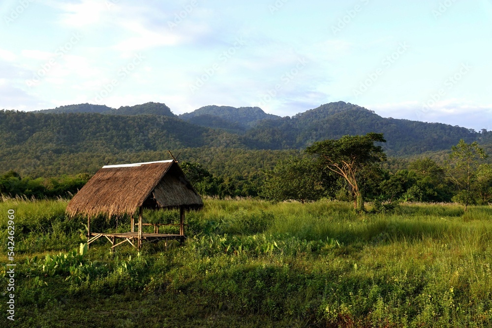 Old hut in a tropical area on a sunny day Old hut in a tropical area on a sunny day