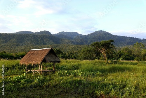 Old hut in a tropical area on a sunny day