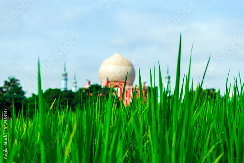 Bokhshia Khanka Sharif Mosque Bangladesh Ishurdi. Mosque against the background of rice field. photo