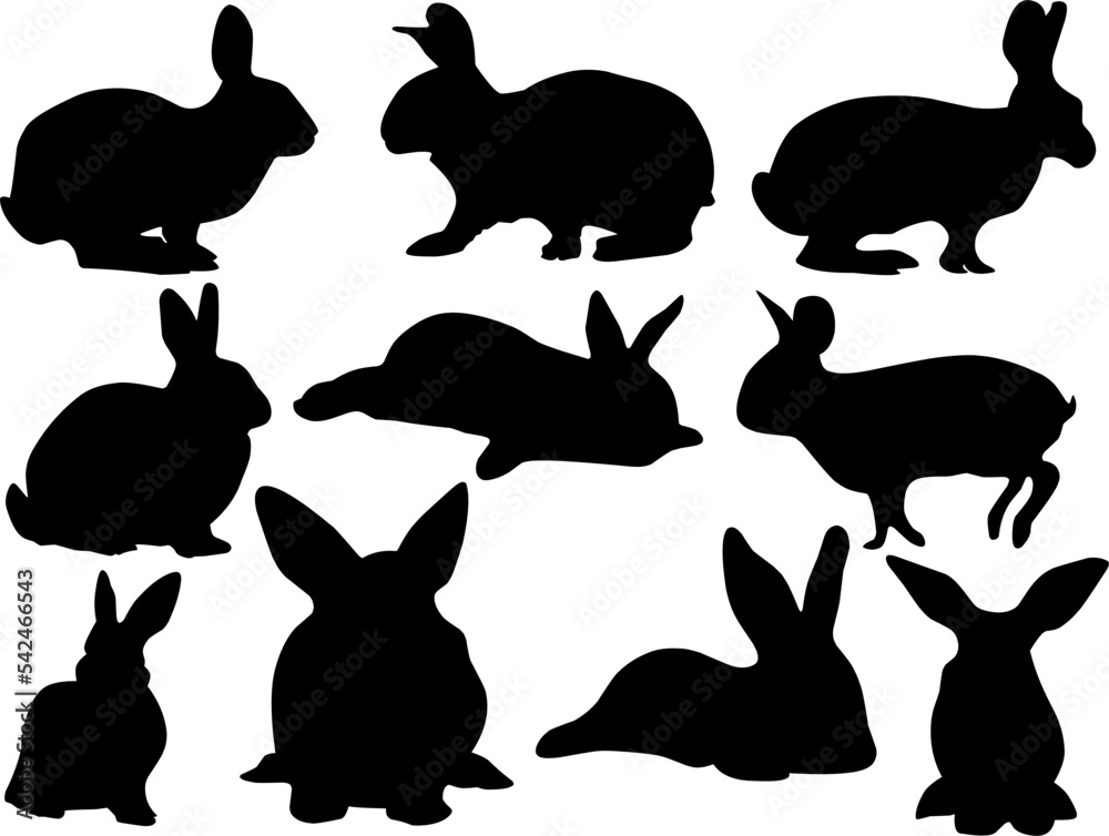 set of rabbits set of rabbits