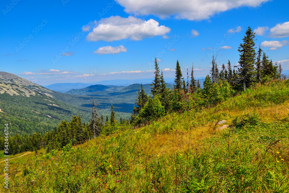 Sunny summer mountain landscape. Popular ski resort Sheregesh in bright summer day, Mountains with deep coniferous forest covered. At foreground on slope is green meadow with  wild flowers