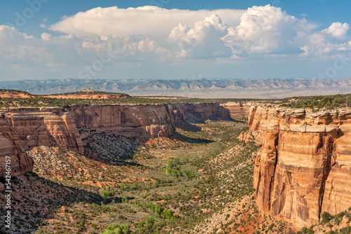 Colorado National Monument in Grand Junction, Colorado- Ute Canyon view overlook photo