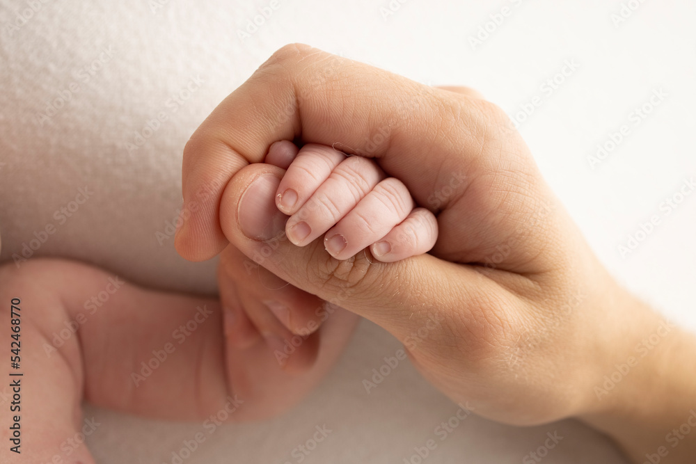 The hand of a sleeping newborn in the hand of parents, mother and father close-up. Tiny fingers of a newborn. The family is holding hands. Studio macro photography. Concepts of family and love. The hand of a sleeping newborn in the hand of parents, mother and father close-up. Tiny fingers of a newborn. The family is holding hands. Studio macro photography. Concepts of family and love.