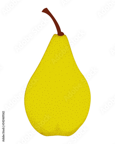 Yellow Pear Fruit on white background.