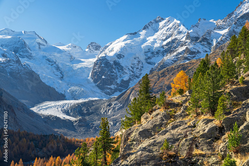 Herbststimmung im Val Morteratsch, Berninagruppe mit Morteratschgletscher, Piz Bernina, Piz Bianco, Bellavista, Pontresina, Engadin, Graubünden, Schweiz photo