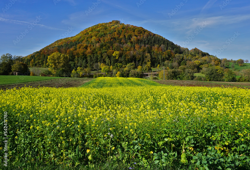 Herbstlandschaft; Blick auf Farrenberg-Andeck, Schwäbische Alb