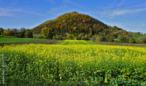 Herbstlandschaft  Blick auf Farrenberg-Andeck  Schw  bische Alb