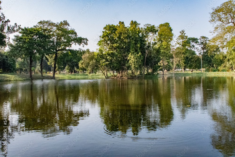 Reflection of green trees and blue sky on the lake in the park in autumn