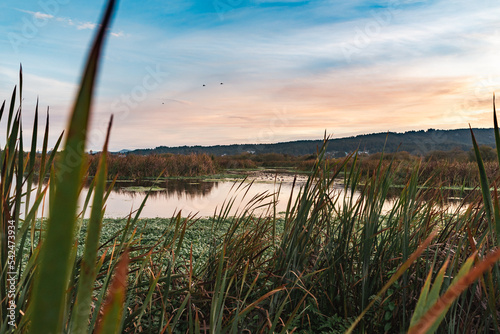 Arcata Marsh Sunrise