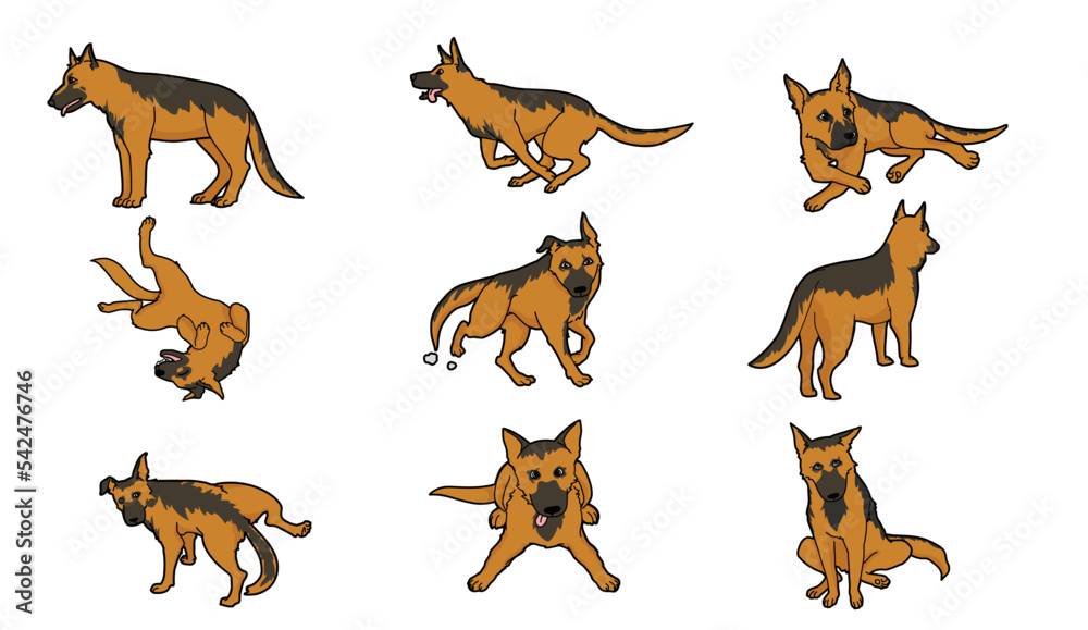 Set of german shepherd dogs, vector illustration Set of german shepherd dogs, vector illustration