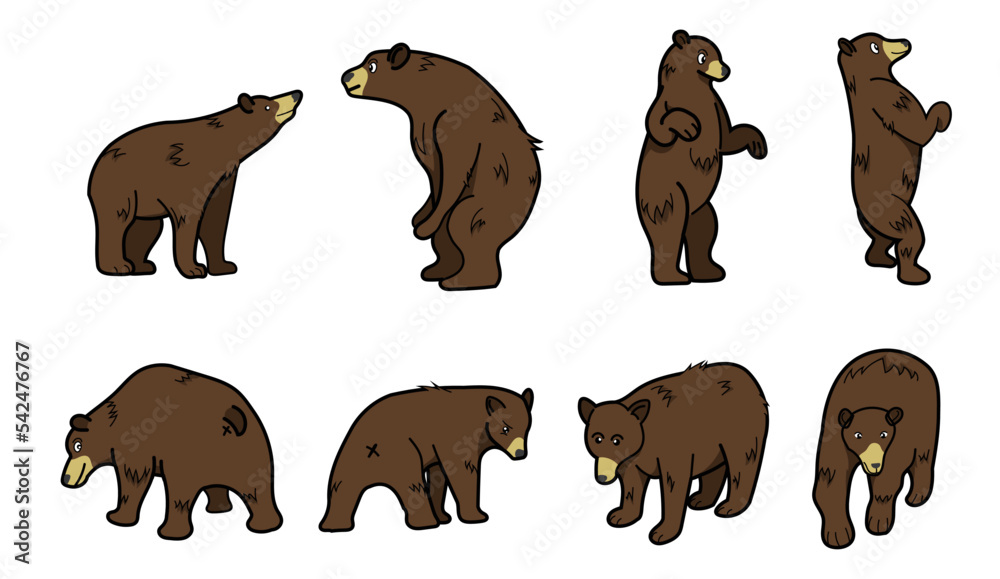 Set of wild bear vector illustration