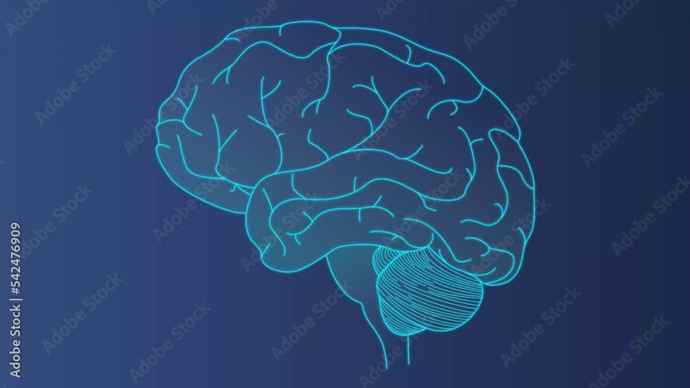 Brain scan concept, animated video in 4k. brain research. The gradual development of a linear image on a dark background. Motion design template Brain scan concept, animated video in 4k. brain research. The gradual development of a linear image on a dark background. Motion design template