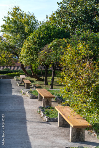 Petite allée bordée de bancs en bois et de petits arbres dans un parc 