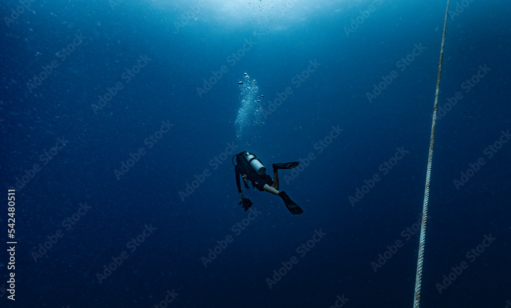 Diver at the gulf of Thailand close to Koh Tao Diver at the gulf of Thailand close to Koh Tao