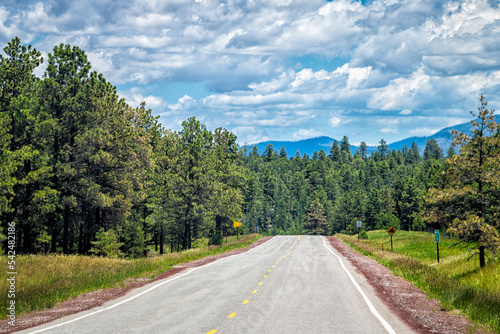 Carson National Forest highway 75 in Penasco, New Mexico with Sangre de Cristo mountains in background, summer green pine trees at high road to Taos © Kristina Blokhin