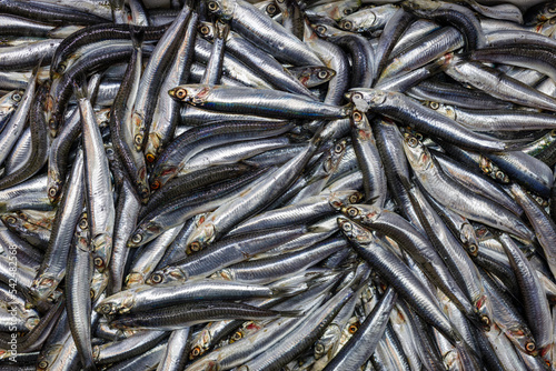 Mediterranean Fish Rare Market Full Frame